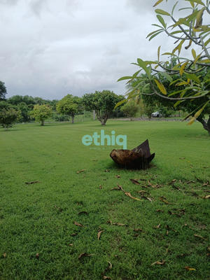 Maison - 445 m² - 13 pièces