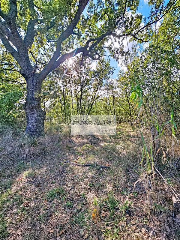 Terrain agricole - 7 799 m²