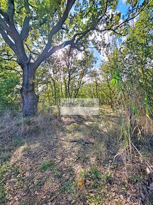 Terrain agricole - 7 799 m²