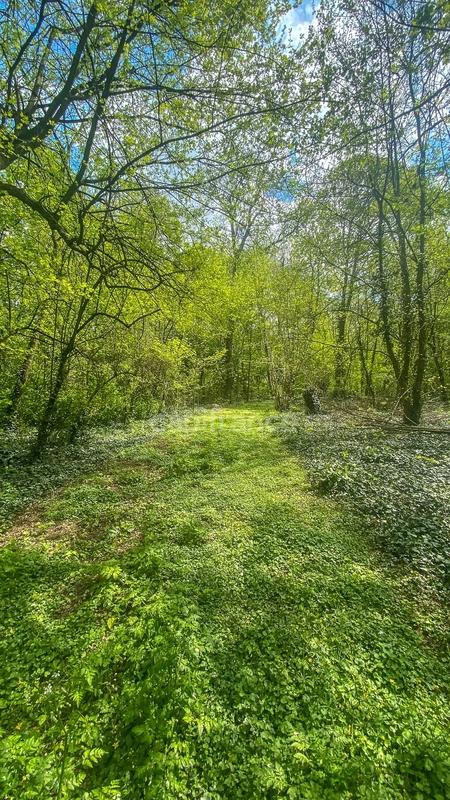 Propriété - 600 m² - 23 pièces