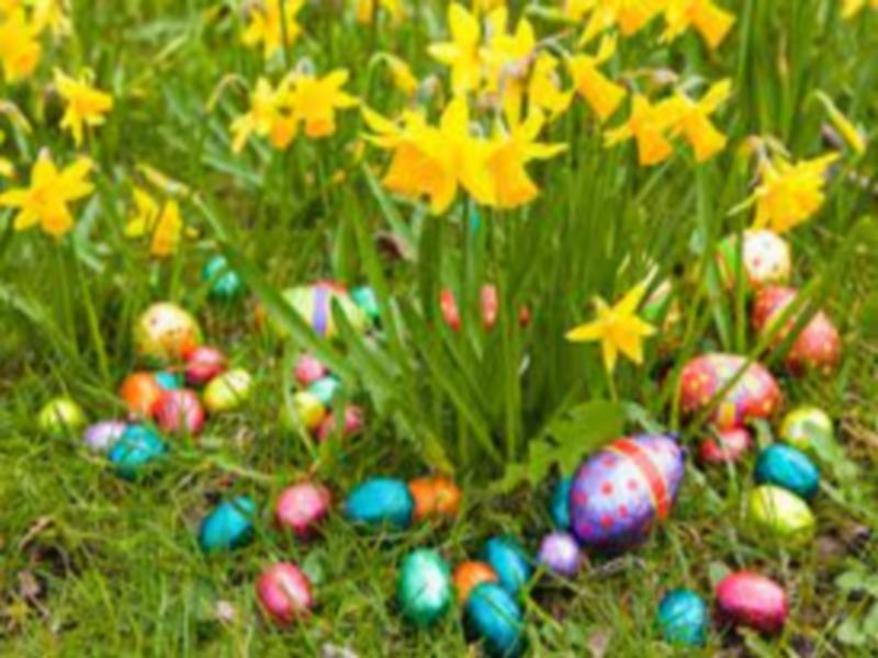 Chasse aux oeufs - Manoir de l'Isle de Livarot