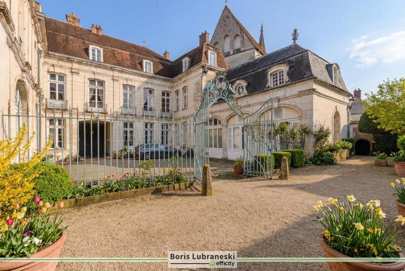 Hôtel particulier - 1 200 m² - 20 pièces