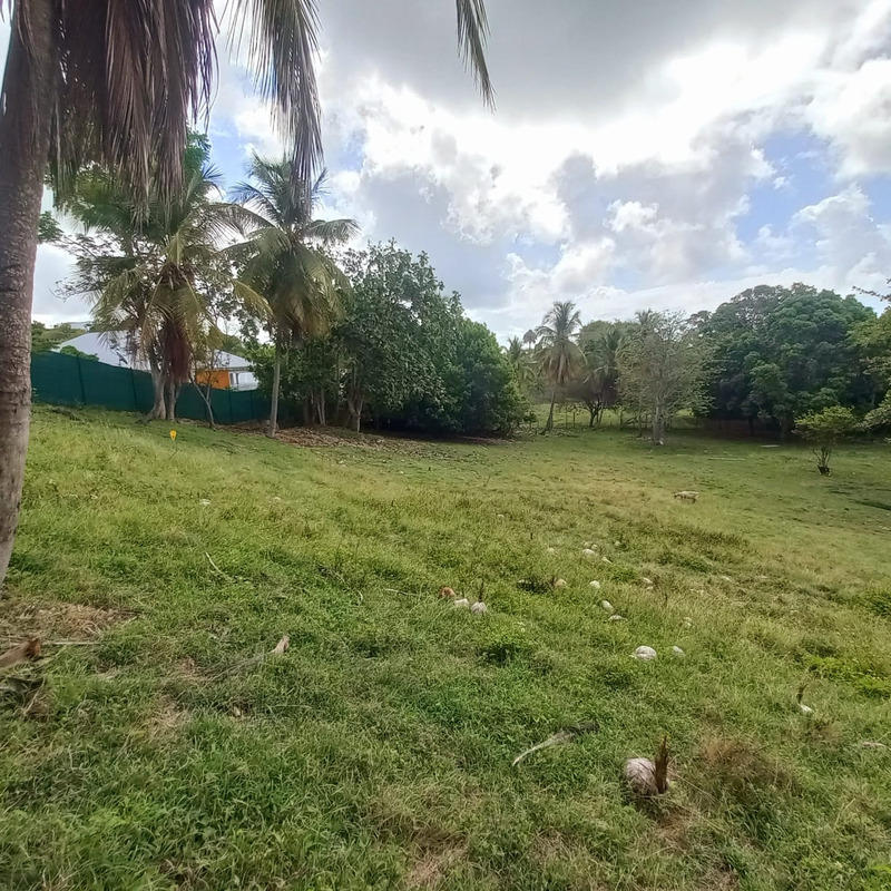 Terrain constructible - 968 m²