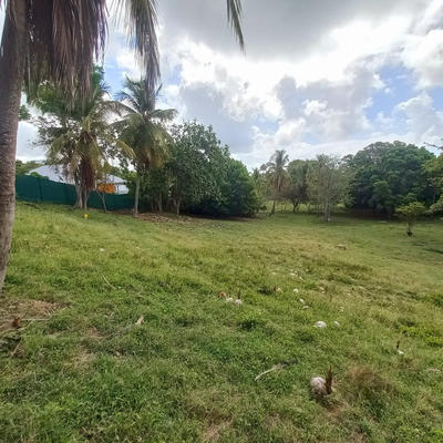 Terrain constructible - 968 m²