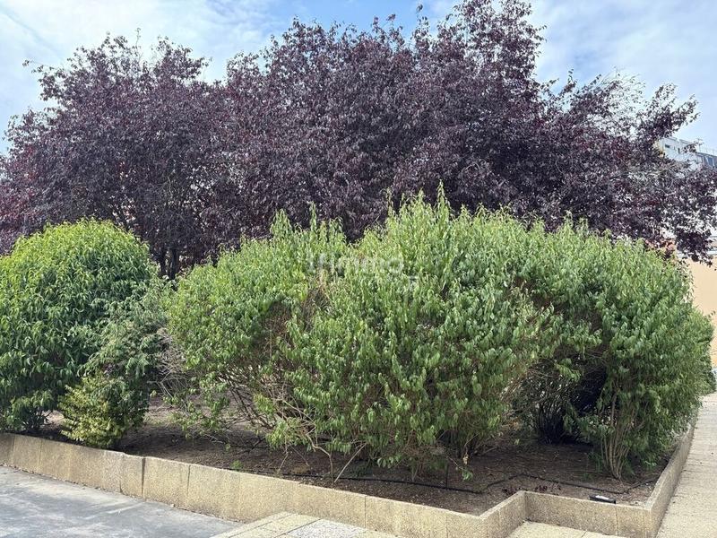 Appartement - 77 m² - 4 pièces