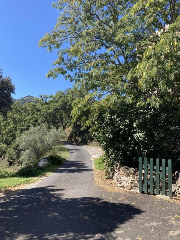 Mas - 302 m² - 12 pièces