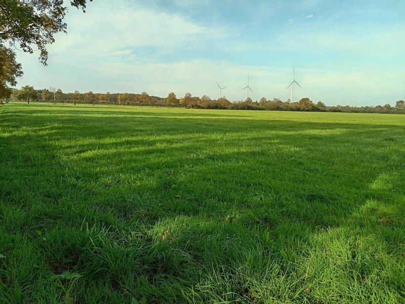 Ferme - 1 m² - 1 pièce