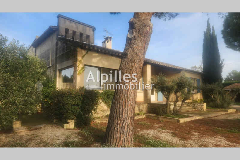 Maison en pierre - 160 m² - 10 pièces