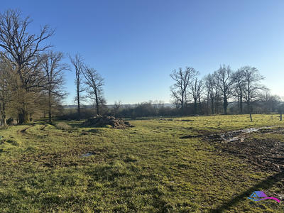 Maison - 75 m² - 3 pièces