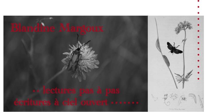 Abdellatif Laâbi, poésie sans barreaux ni frontières • Atelier d'écriture