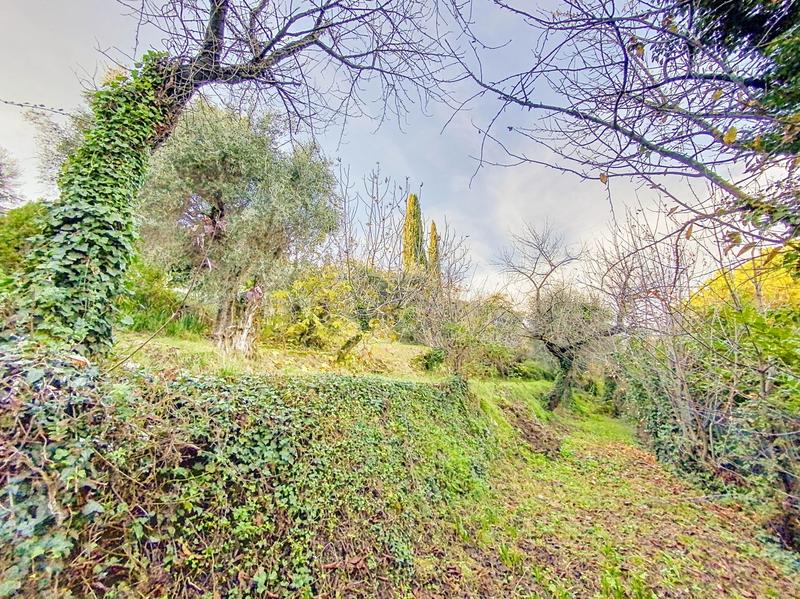 Maison - 36 m² - 2 pièces