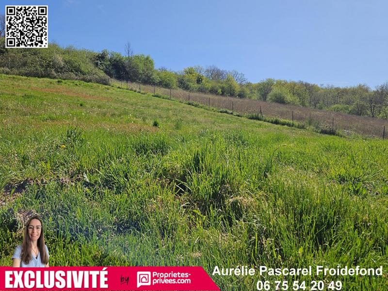 Terrain constructible - 3 000 m²
