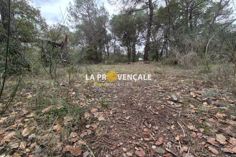 Terrain de loisirs - 2 315 m²