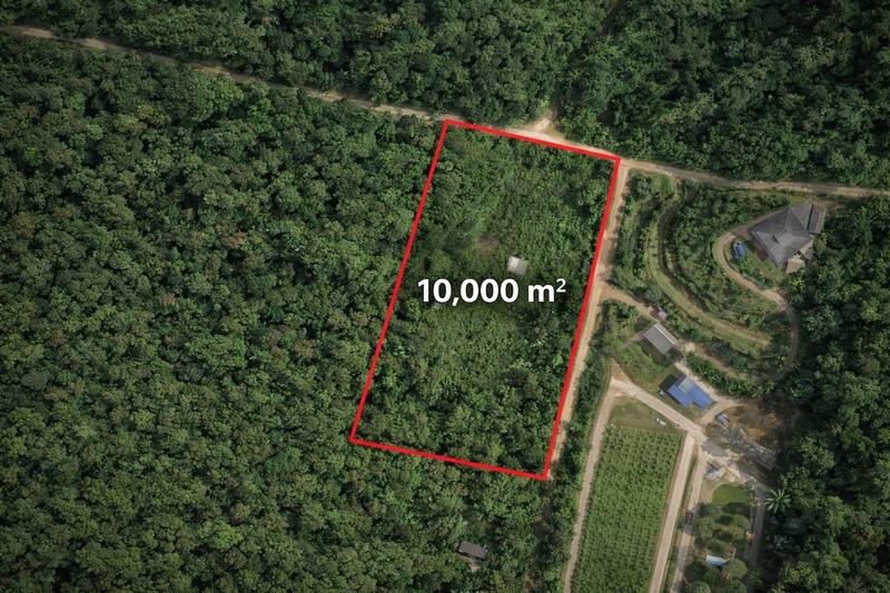 Terrain constructible - 10 000 m²