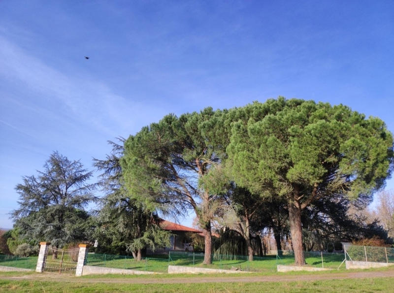 Propriété - 228 m² - 6 pièces