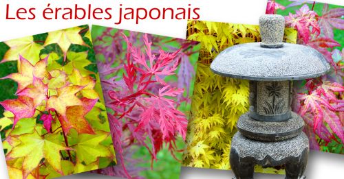 Déco d'ici et d'Ailleurs