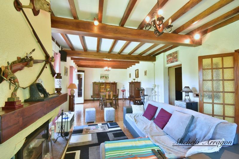 Propriété - 365 m² - 13 pièces