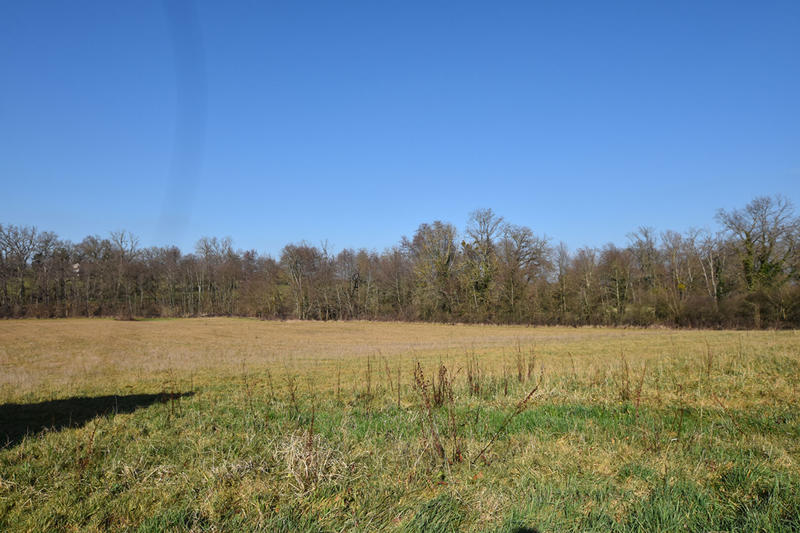 Corps de ferme - 357 m² - 14 pièces