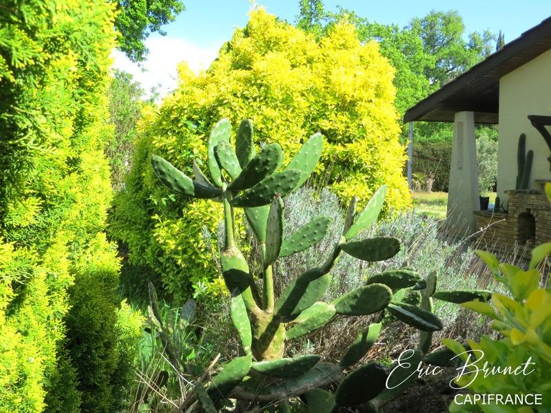 Maison - 171 m² - 6 pièces