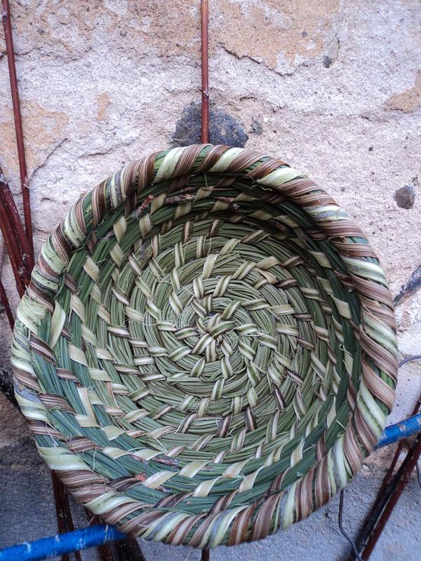 Stage de Vannerie sauvage, récolte et tressage