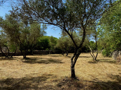 Terrain - 2 105 m²
