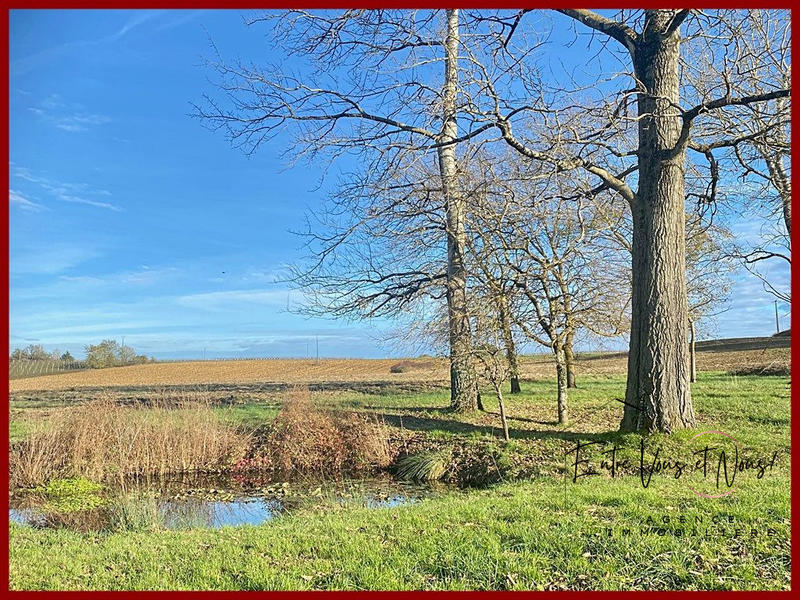 Maison ancienne - 224 m² - 7 pièces