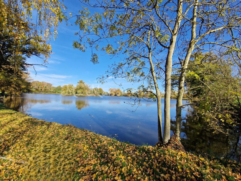 Moulin - 166 m² - 1 pièce
