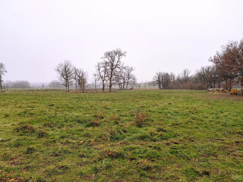 Terrain agricole - 36 700 m²