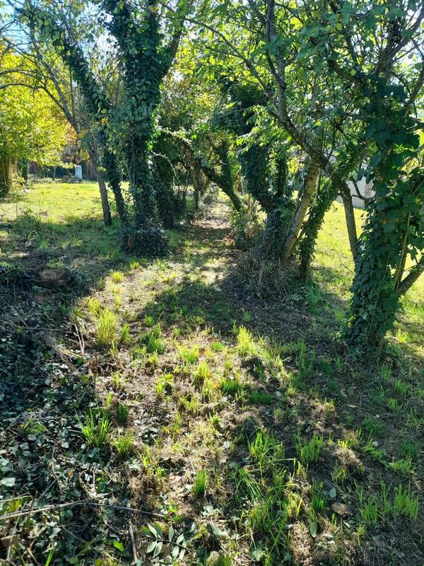 Maison - 84 m² - 5 pièces