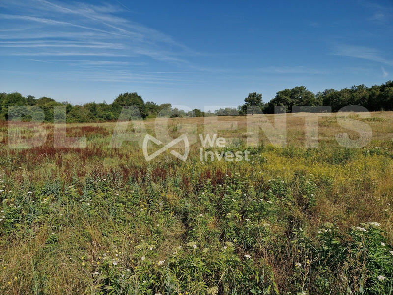 Terrain - 16 575 m²