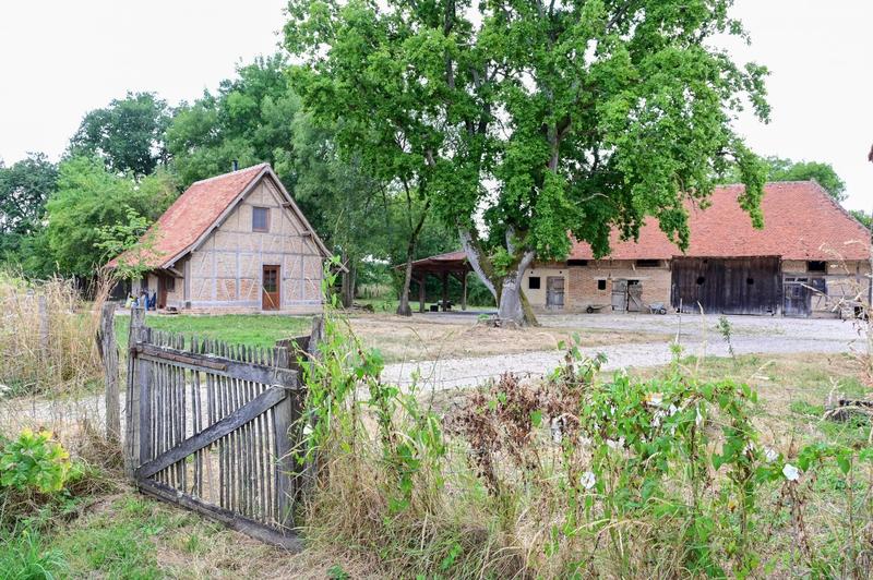 Maison - 200 m² - 8 pièces