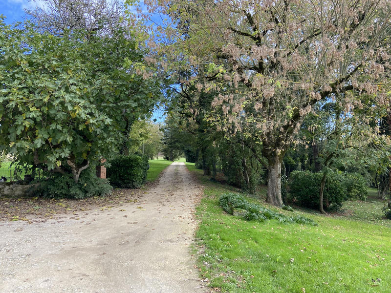 Maison - 220 m² - 8 pièces