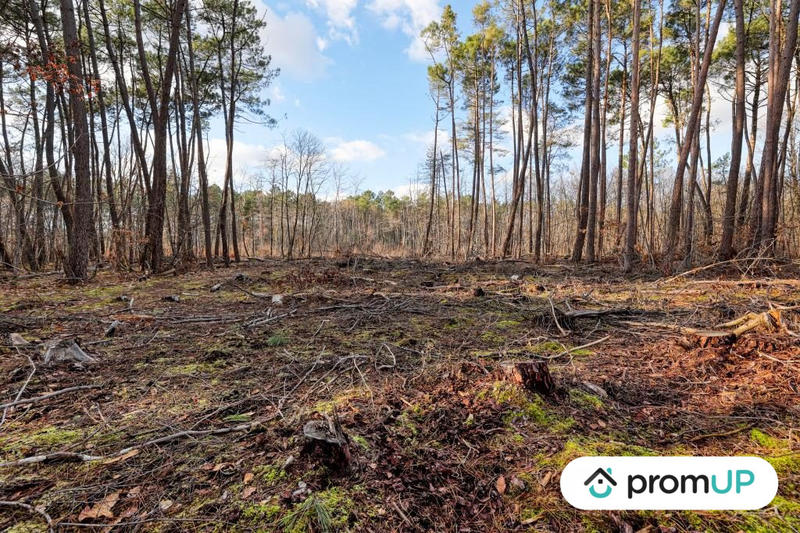 Terrain de loisirs - 1 570 m²