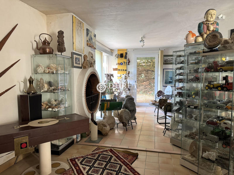 Viager - Maison ancienne - 139 m² - 6 pièces