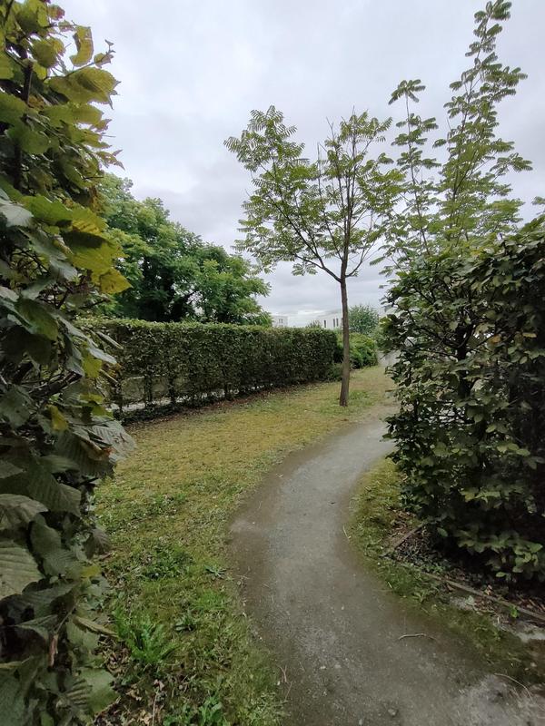 Appartement - 81 m² - 4 pièces