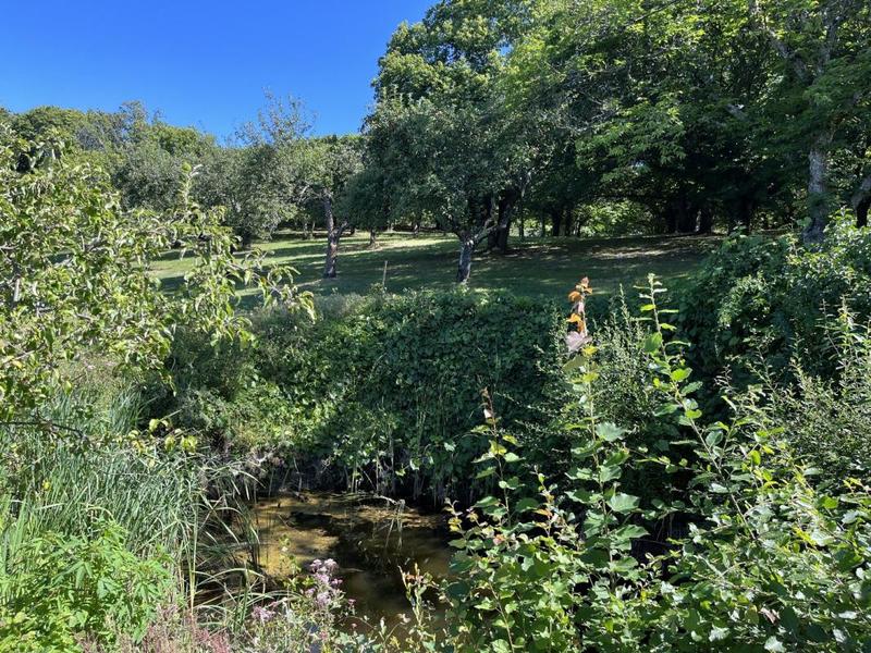 Maison de campagne - 110 m² - 4 pièces