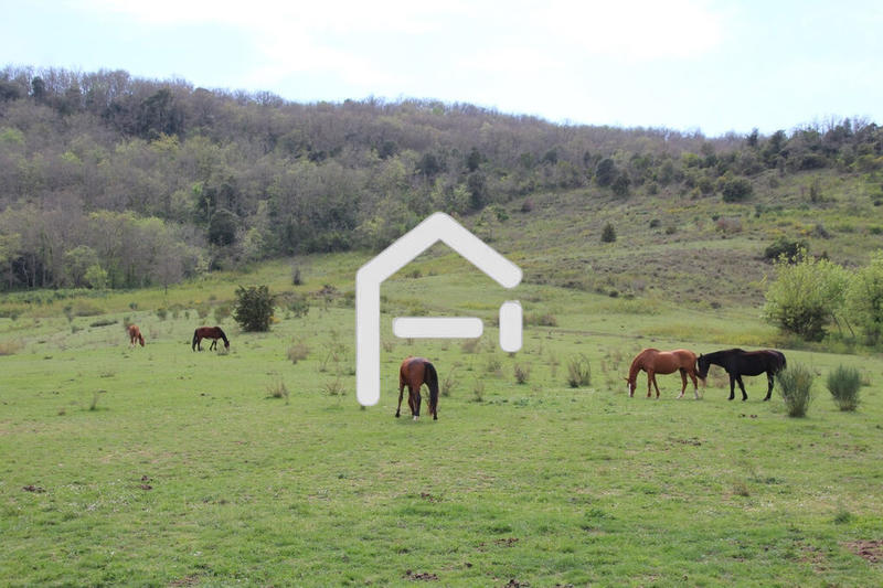 Maison de domaine équestre - 305 m² - 11 pièces