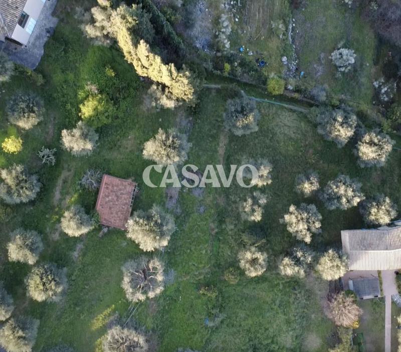 Terrain constructible - 3 337 m²