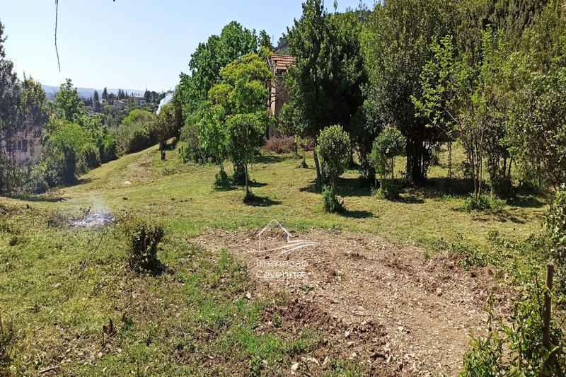 Terrain - 1 282 m²