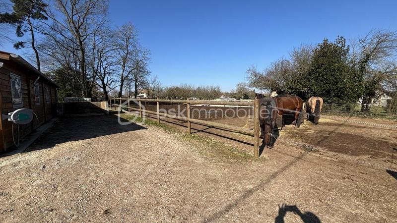 Propriété - 135 m² - 6 pièces