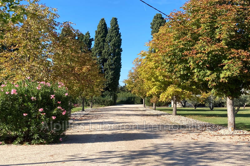 Maison - 242 m² - 6 pièces