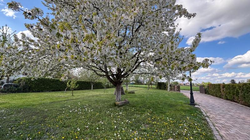 Maison - 370 m² - 12 pièces