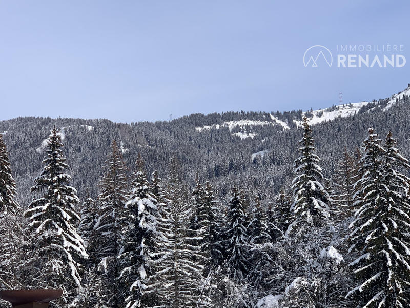 Appartement - 38 m² - 3 pièces