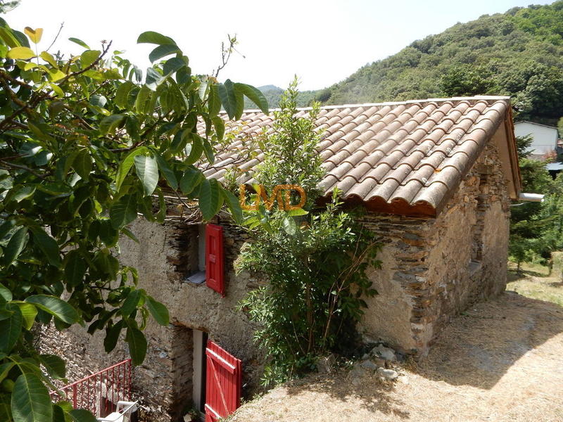 Maison en pierre - 52 m² - 3 pièces