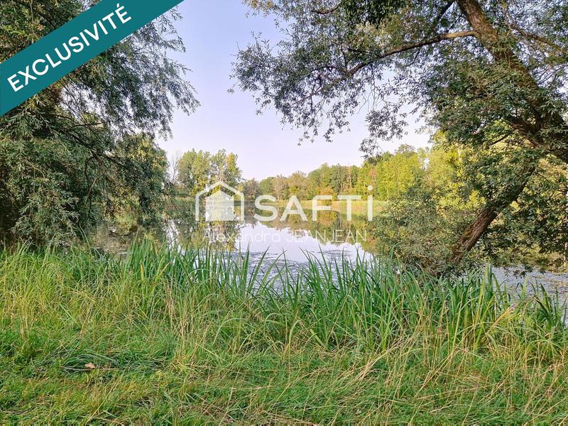 Terrain - 51 433 m²