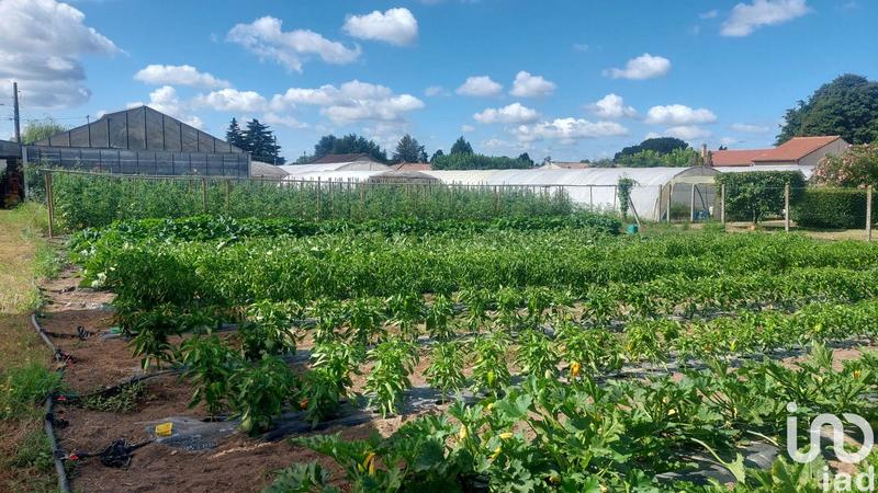 Local commercial - 5 500 m²