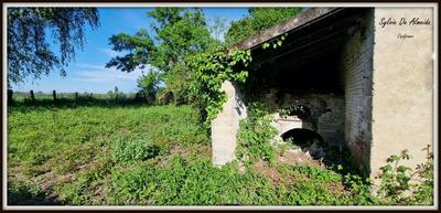 Longère - 96 m² - 3 pièces