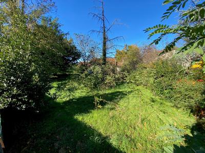 Terrain - 545 m²