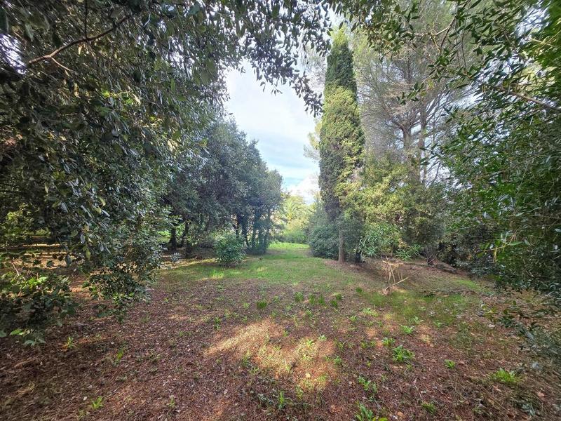 Terrain constructible - 2 000 m²