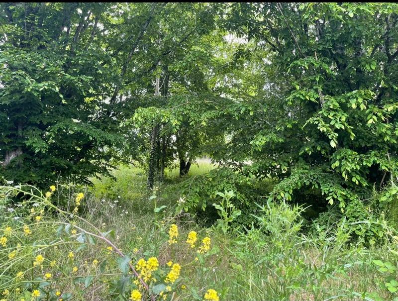 Terrain constructible - 1 700 m²